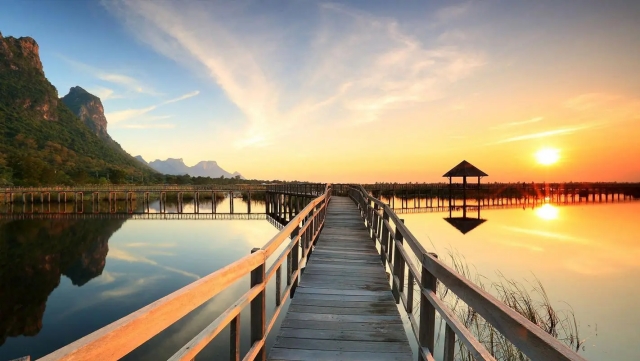 田径体能训练器材推荐